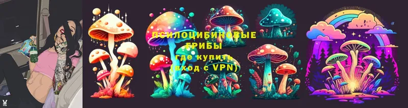 Галлюциногенные грибы Magic Shrooms  Кингисепп 